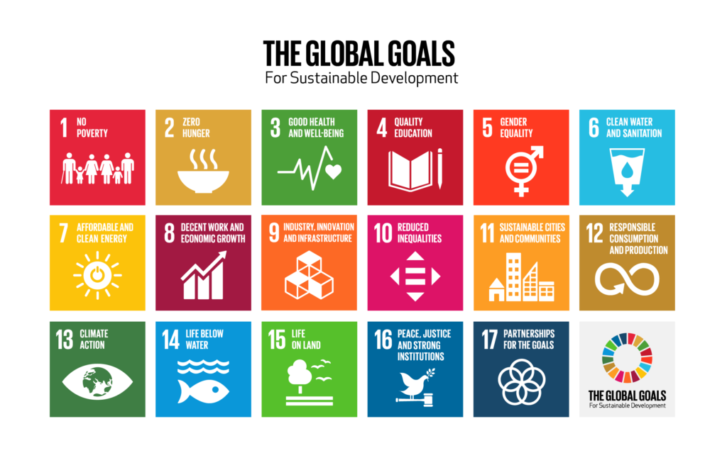 The Sustainable Development Global Goals – Making Connections Matter